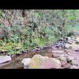 Tanah 2 Hektar Dekat Aliran Sungai Karanganyar 