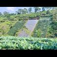 Tanah 7000m² Cocok Untuk Wisata Kebun Buah Ngargoyoso 