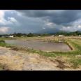 Tanah Sawah 3400m View Gunung Lawu Matesih 