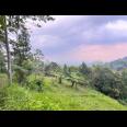 Tanah 275 Juta Kawasan Wisata Ngargoyoso   Tanah 275 Juta Kawasan Wisata Ngargoyoso