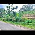  Tanah 4121m² View Hamparan Sawah Karanganyar 