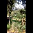 TANAH VIEW KOTA BANDUNG UNTUK RUMAH VILLA DAN KEBUN PRODUKTIF  DI UJUNG BERUNG