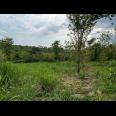 Tanah 1,4 Hektar Tepi Jl Raya Karangpandan, Karanganyar