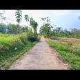 Tanah 8200m 200rb/m Kerjo Karanganyar Utara 