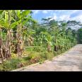 Tanah Super Datar 300rb/m 2000m Karanganyar Utara 