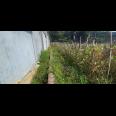 KAVLING 135 M2 MUKA 9 METER SHM AKSES MOBIL DI CISARANTEN KULON BANDUNG