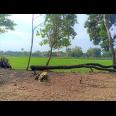 Tanah Datar View Sawah 494m Kedawung Sragen