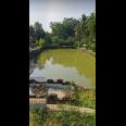 RUMAH DAN KOLAM PEMANCINGAN IKAN DI CIRANJANG - CIANJUR 