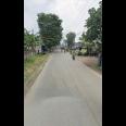 TANAH DI PINGGIR JALAN DEKAT POLITEKNIK SIBER DAN SANDI NEGARA DI CISEENG BOGOR
