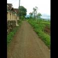 TANAH UNTUK PERUMAHAN DAN PERMUKIMAN DEKAT GT. PAMULIHAN TANJUNGSARI SUMEDANG