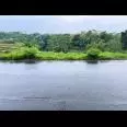 Tanah Strategis 1000m² Tepi Jl Raya Mojogedang- Karangpandan 