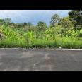 Tanah 2242m² Dekat Ponpes MTA Mojogedang 