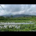 Tanah 2528m² Bonus Gudang Kawasan Wisata Karanganyar 