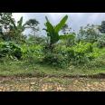  Tanah Udara Dingin 150 Juta Cocok Kebuh Buah Karanganyar 