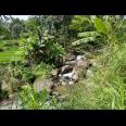 Tanah 355 Juta Dekat Aliran Sungai Karanganyar