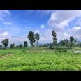 Tanah 4600m² View Cantik Kota Wisata Kemuning 