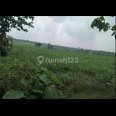 Dijual Tanah Strategis di Rejosari, Sukoharjo