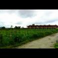 Jual Tanah Kosong di Kabanjahe - Kab Karo - Sumatra Utara