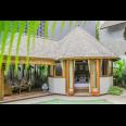 FULLY FURNISHED TROPICAL PRIVATE VILLA IN CANGGU FOR SALE !