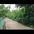 Tanah Kavling 100 m2 Pondok Rajeg Cibinong dekat Depok