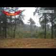 Jalan Raya Trawas Prigen Pasuruan - An Idyllic Location