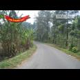 Jalan Raya Trawas Prigen Pasuruan - An Idyllic Location
