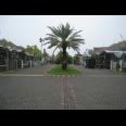 Rumah Central Park, Gunung Anyar Surabaya | Idyllic Family Home