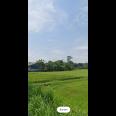 Dijual Tanah 2 Ha Curug Tangerang Banten