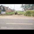 Jual Tanah Luas Strategis di Malang Dekat Kantor Bupati Malang dan Pasar Gondanglegi