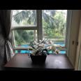 Cozy Apartement Thamrin Residence 1Bedroom View Kolam Renang