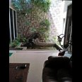 Dijual Rumah Semi Furnished Perumahan Elite The Gayungsari Surabaya Selatan