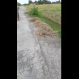 Akses Jalan 6 meter