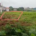 Tanah Dijual Dekat SMA Negeri 1 Ciampea Bogor, Kampus IPB Dramaga Bogor, Kampoeng Wisata Cinangneng Bogor