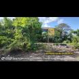 Dijual Tanah di Uluwatu Jimbaran Bali 1.2 Ha DEPAN JIMBARAN PLAZA AREA KOMERSIL