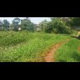 Tanah 250 meter ke Gerbang Tol Desari Sawangan Raya Harga NJOP 6700 m2