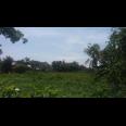 Tanah 250 meter ke Gerbang Tol Desari Sawangan Raya Harga NJOP 6700 m2