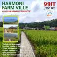 Kavling Sawah murah Harmoni Farm Ville