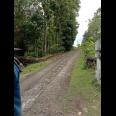 Dijual tanah cocok untuk kavlingan, 7 menit dari jalan wates km 9
