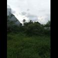 Dijual Tanah di Pinggir Jalan Ciangsana
