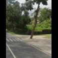 Tanah Tepi Jl Raya Karangpandan - Tawangmangu Karanganyar