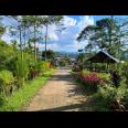 Tanah Istimewa Dekat Kebun Teh Kemuning Karanganyar