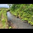 Tanah Pekarangan Dekat Sungai Kerjo Karanganyar