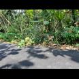 Jual Tanah 550m² Karangpandan Karanganyar