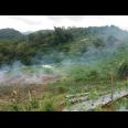 Tanah 2 Hektar Tawangmangu Karanganyar 