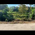 PROMO!! Tanah 300 jd 250Jt Kemuning Karanganyar 