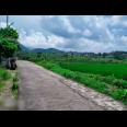 Tanah 2500m2 cocok dibangun villa Karangpandan Karanganyar