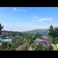Tanah View Gunung Lawu Utara Candi Cetho Kemuning Karanganyar