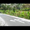 Tanah Pekarangan 2452m² Ngargoyoso karanganyar