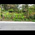 Tanah Pekarangan 2452m² Ngargoyoso karanganyar