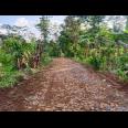 Tanah Murah 99 Juta Dekat Candi Cetho Kemuning